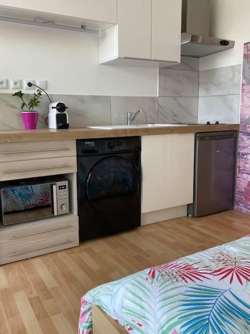 Le Cosy Tassin - Rez De Jardin Lejlighed Eksteriør billede